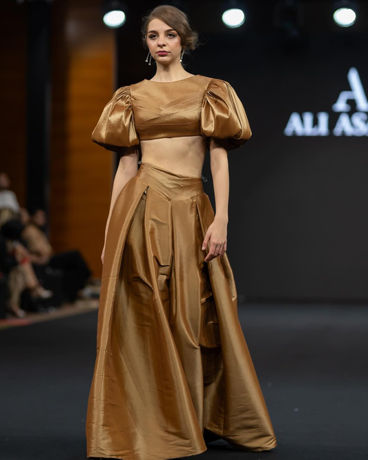 Dark Beige Short Blouse with Pleated skirt set