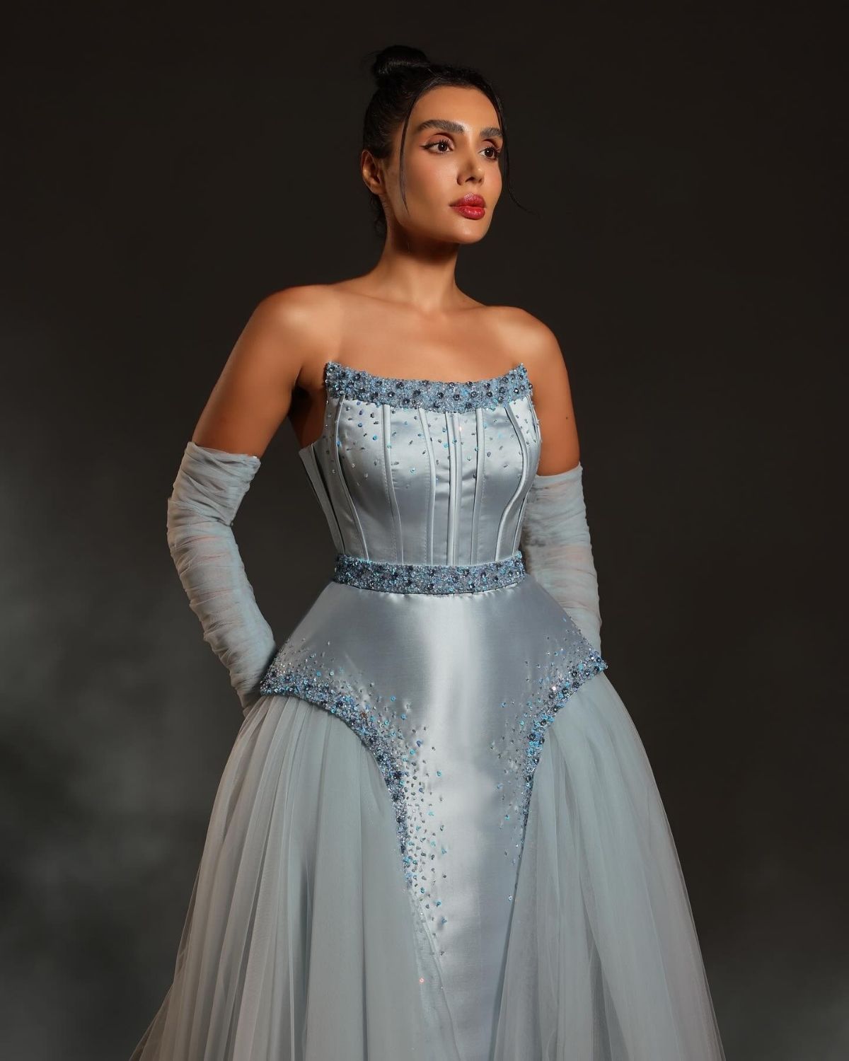 Pastel Blue embroidered ball gown